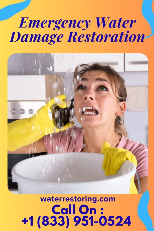 Emergency Water Damage Restoration in Thorndale, TX