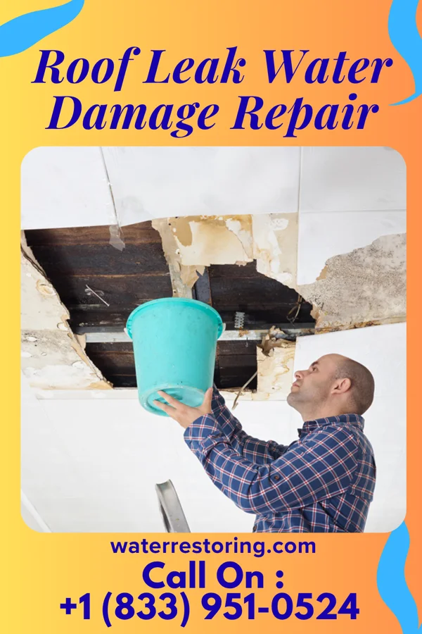 Roof Leak Water Damage Repair in Thorndale, TX